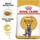 ROYAL CANIN British Shorthair Dry Adult Cat Food - 4kg)
